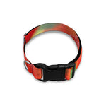 Red Tulip Print Dog Collar