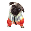 Red Tulip Print Dog Zip Up Hoodie