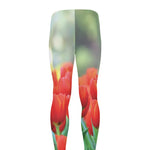 Red Tulip Print Men's leggings