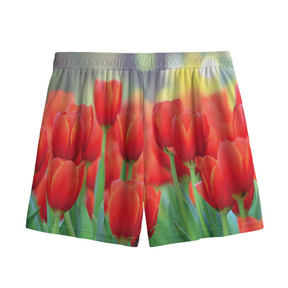 Red Tulip Print Mesh Shorts