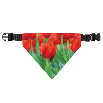Red Tulip Print Over The Collar Dog Bandana