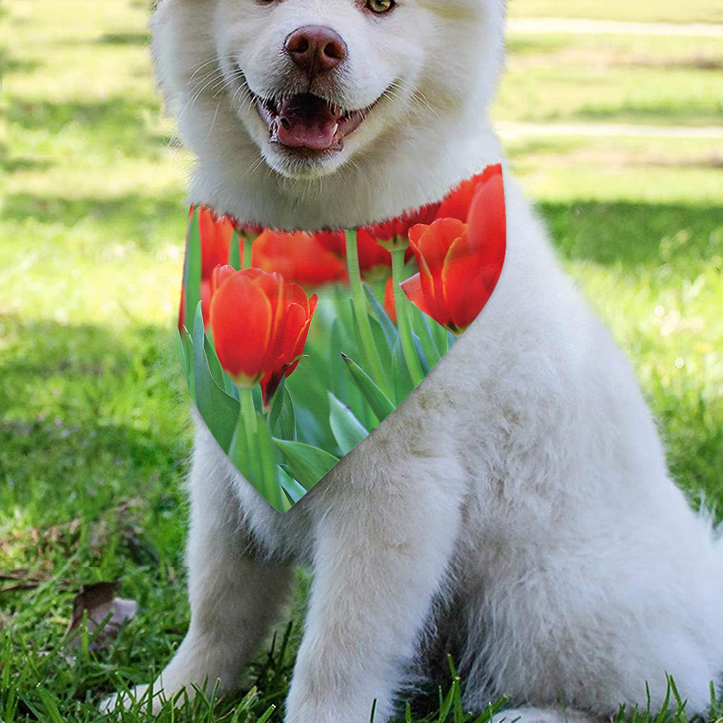 Red Tulip Print Over The Collar Dog Bandana