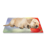 Red Tulip Print Pet Cooling Mat Cover