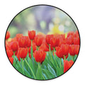 Red Tulip Print Round Floor Mat