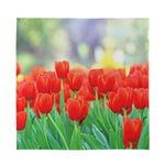 Red Tulip Print Silk Bandana