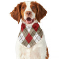 Red White And Beige Argyle Pattern Print Dog Bandana
