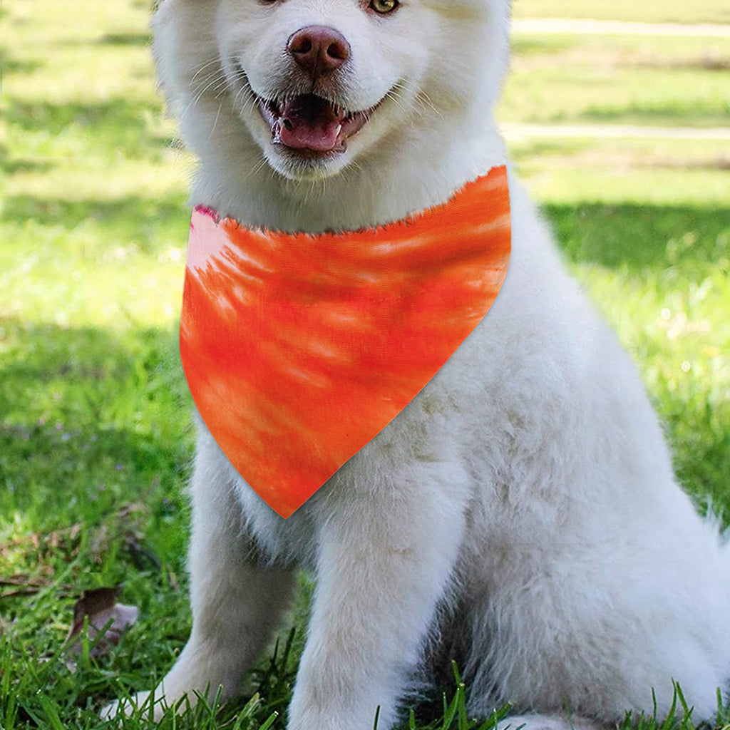 Red Yellow And Orange Tie Dye Print Over The Collar Dog Bandana