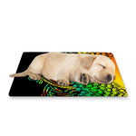 Reggae Buddha Print Pet Cooling Mat Cover