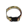 Religious Word Of God Print Dog Collar