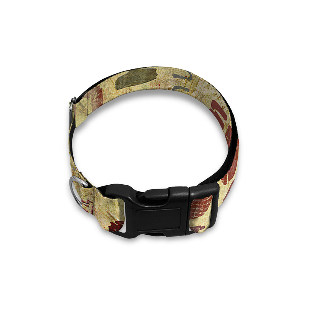Religious Word Of God Print Dog Collar
