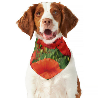 Remembrance Day Poppy Print Dog Bandana