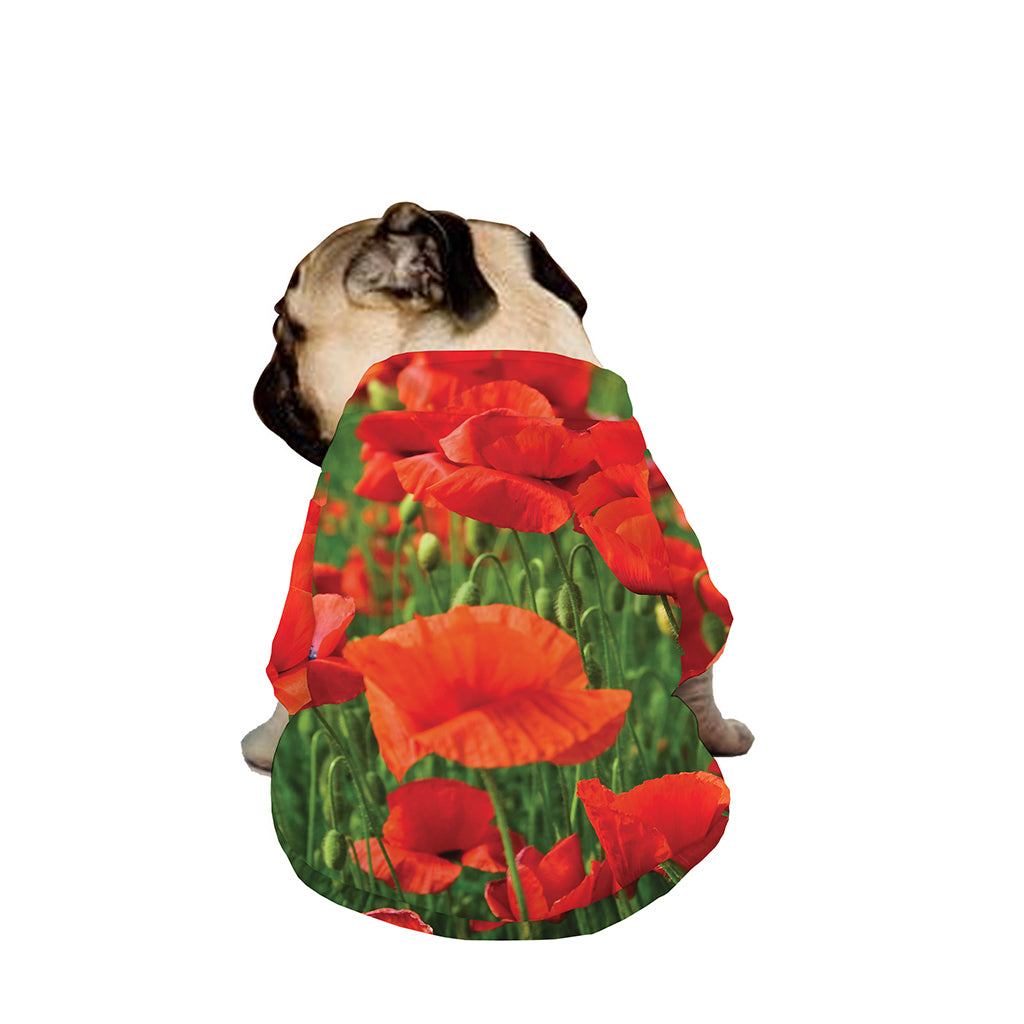 Remembrance Day Poppy Print Dog Zip Up Jacket