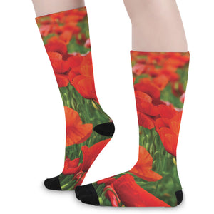 Remembrance Day Poppy Print Long Socks