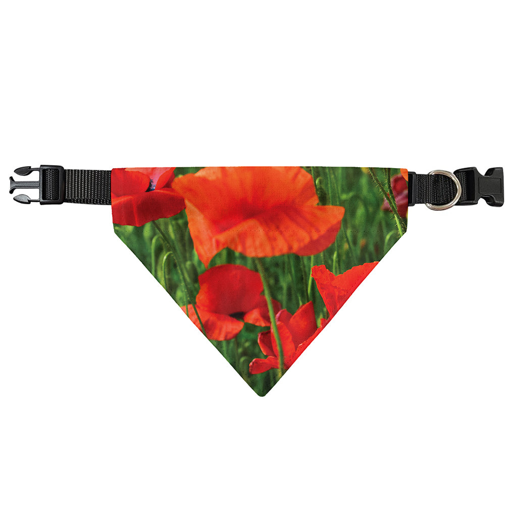 Remembrance Day Poppy Print Over The Collar Dog Bandana