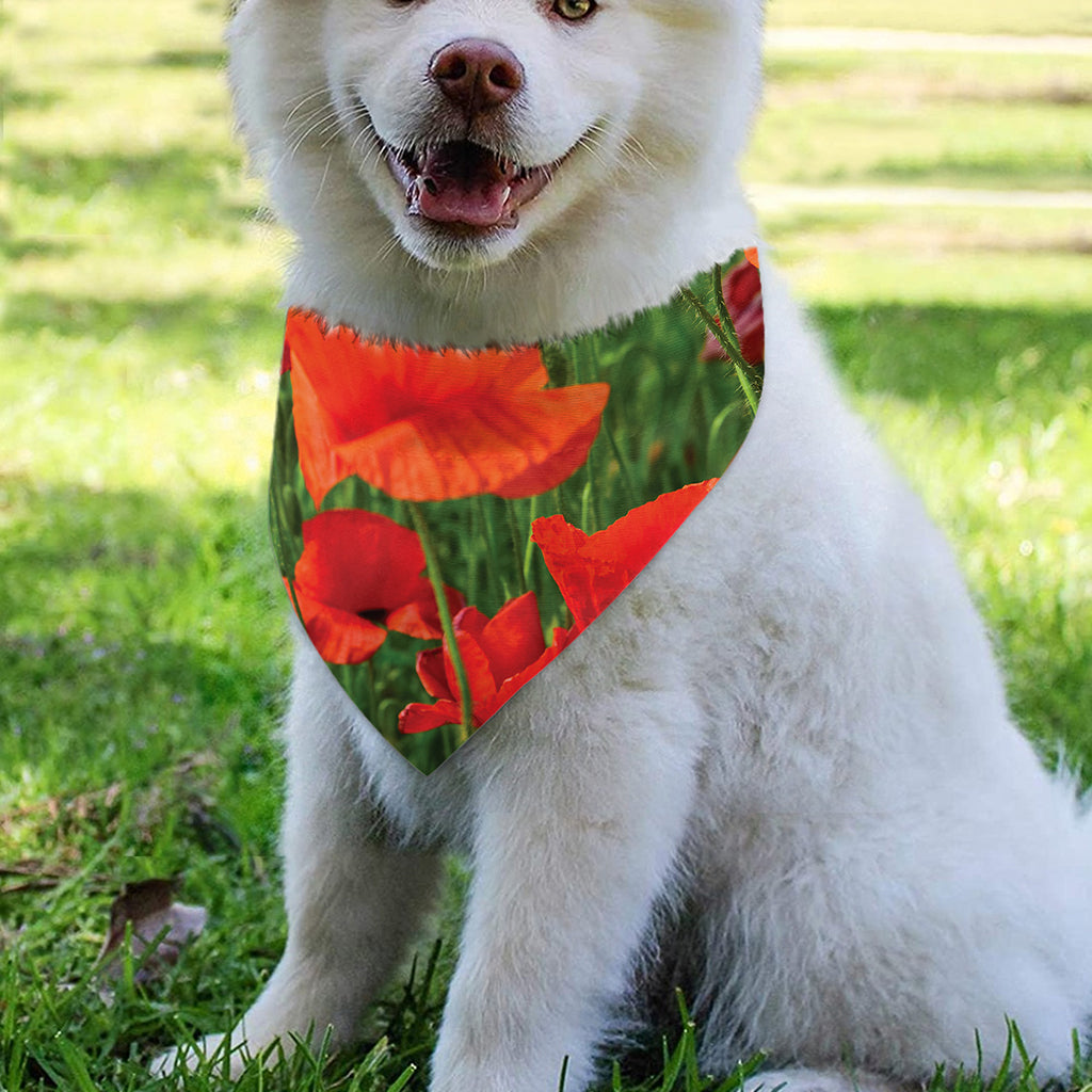 Remembrance Day Poppy Print Over The Collar Dog Bandana