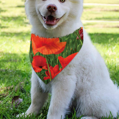 Remembrance Day Poppy Print Over The Collar Dog Bandana