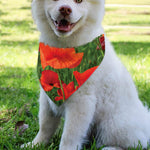 Remembrance Day Poppy Print Over The Collar Dog Bandana