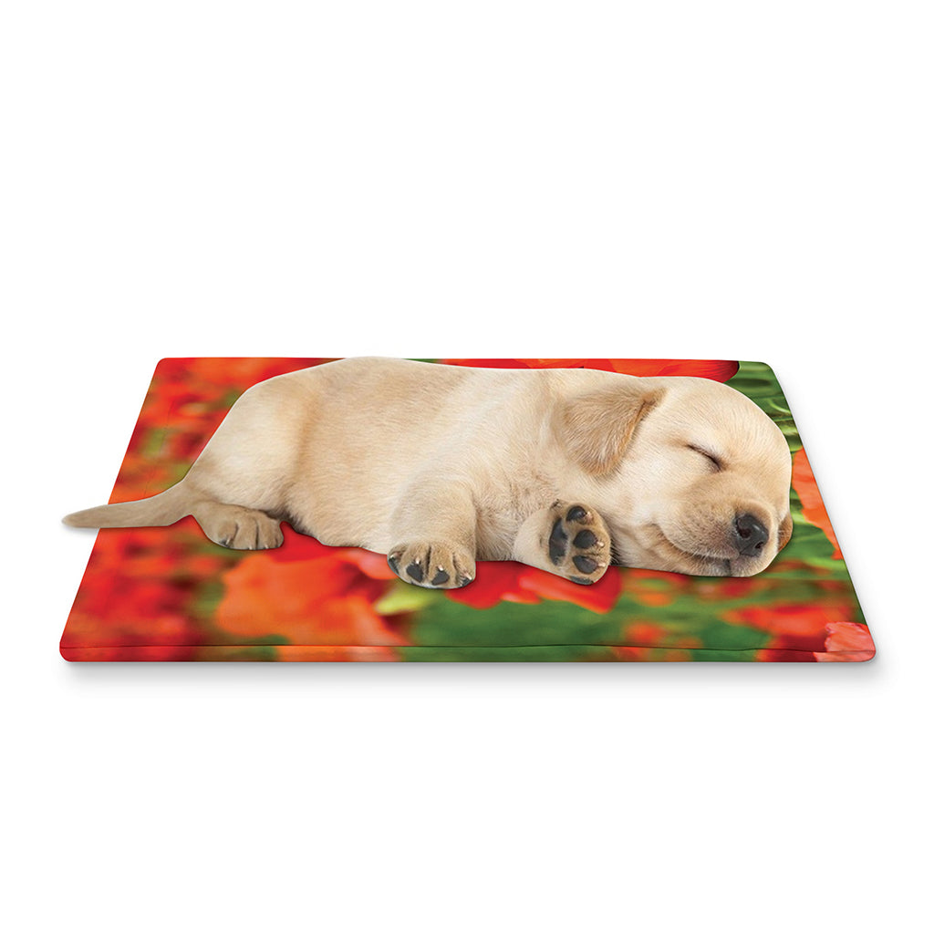Remembrance Day Poppy Print Pet Cooling Mat Cover
