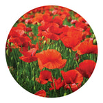 Remembrance Day Poppy Print Round Blanket