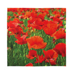 Remembrance Day Poppy Print Silk Bandana
