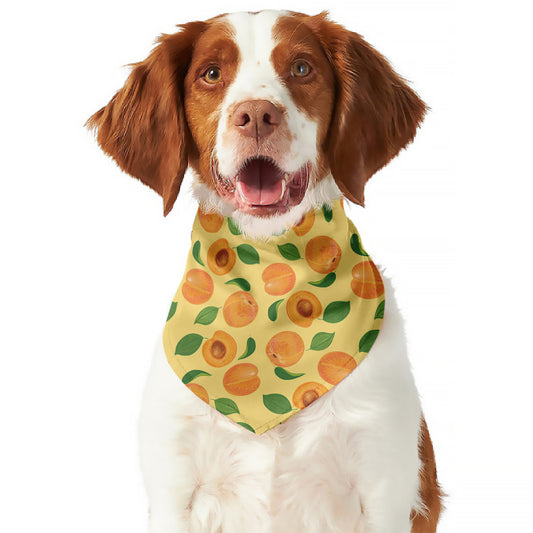 Ripe Apricot Fruit Pattern Print Dog Bandana