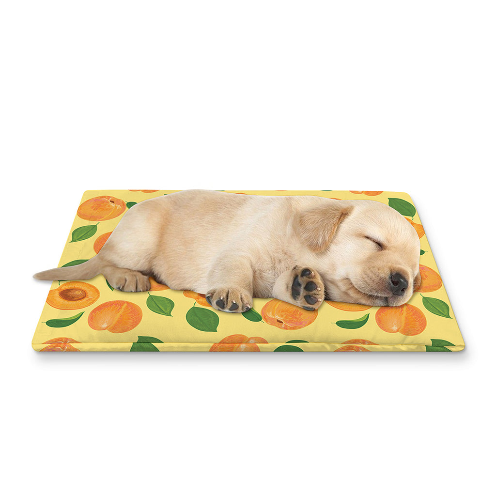 Ripe Apricot Fruit Pattern Print Pet Cooling Mat Cover