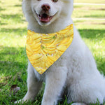 Ripe Banana Pattern Print Over The Collar Dog Bandana