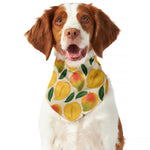 Ripe Mango Fruit Pattern Print Dog Bandana