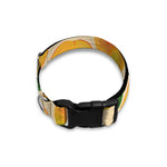 Ripe Mango Fruit Pattern Print Dog Collar