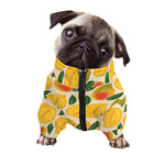 Ripe Mango Fruit Pattern Print Dog Zip Up Jacket
