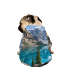 Rocky Mountain Print Dog Zip Up Jacket