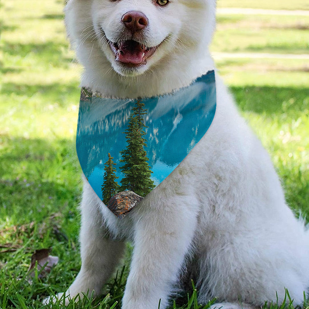 Rocky Mountain Print Over The Collar Dog Bandana