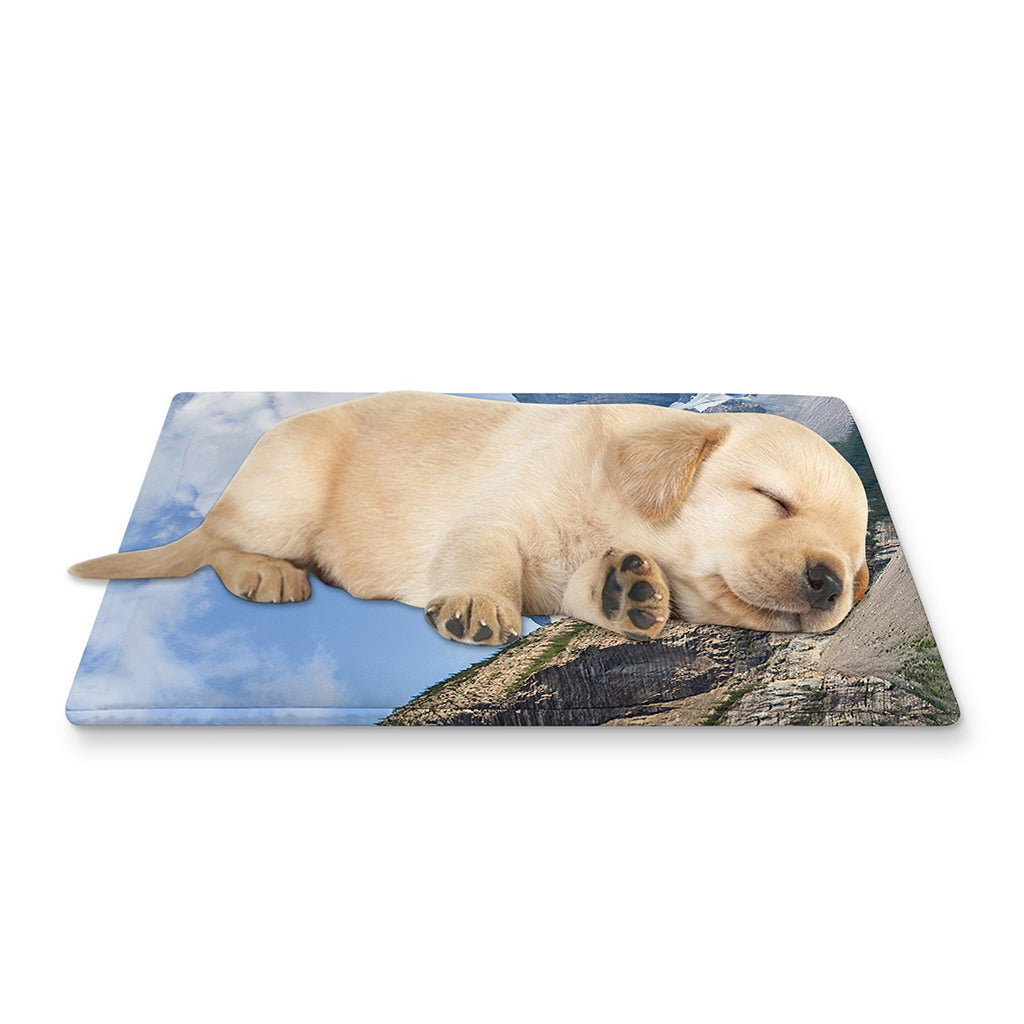 Rocky Mountain Print Pet Cooling Mat Cover