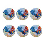 Rooster Painting Print Coaster Set