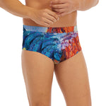Rooster Painting Print Men's Briefs