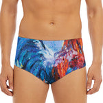 Rooster Painting Print Men's Triangle Swim Briefs