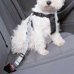 Rooster Plaid Pattern Print Dog Seat Belt