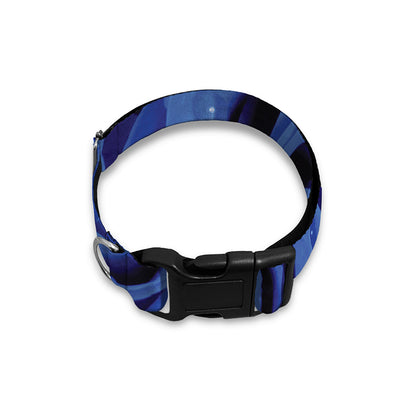 Royal Blue Rose Print Dog Collar