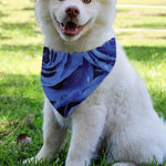 Royal Blue Rose Print Over The Collar Dog Bandana