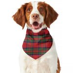 Royal Stewart Tartan Pattern Print Dog Bandana