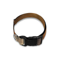 Running Wild Horses Print Dog Collar