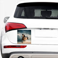 Running Wild Stallion Horse Print Car Sticker