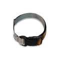 Running Wild Stallion Horse Print Dog Collar