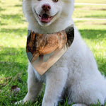 Running Wild Stallion Horse Print Over The Collar Dog Bandana