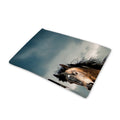 Running Wild Stallion Horse Print Pet Cooling Mat Cover