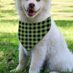 Sage Green Buffalo Check Pattern Print Over The Collar Dog Bandana