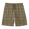 Sage Green Tattersall Pattern Print Men's Swim Trunks