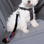 Sagittarius And Astrological Signs Print Dog Seat Belt