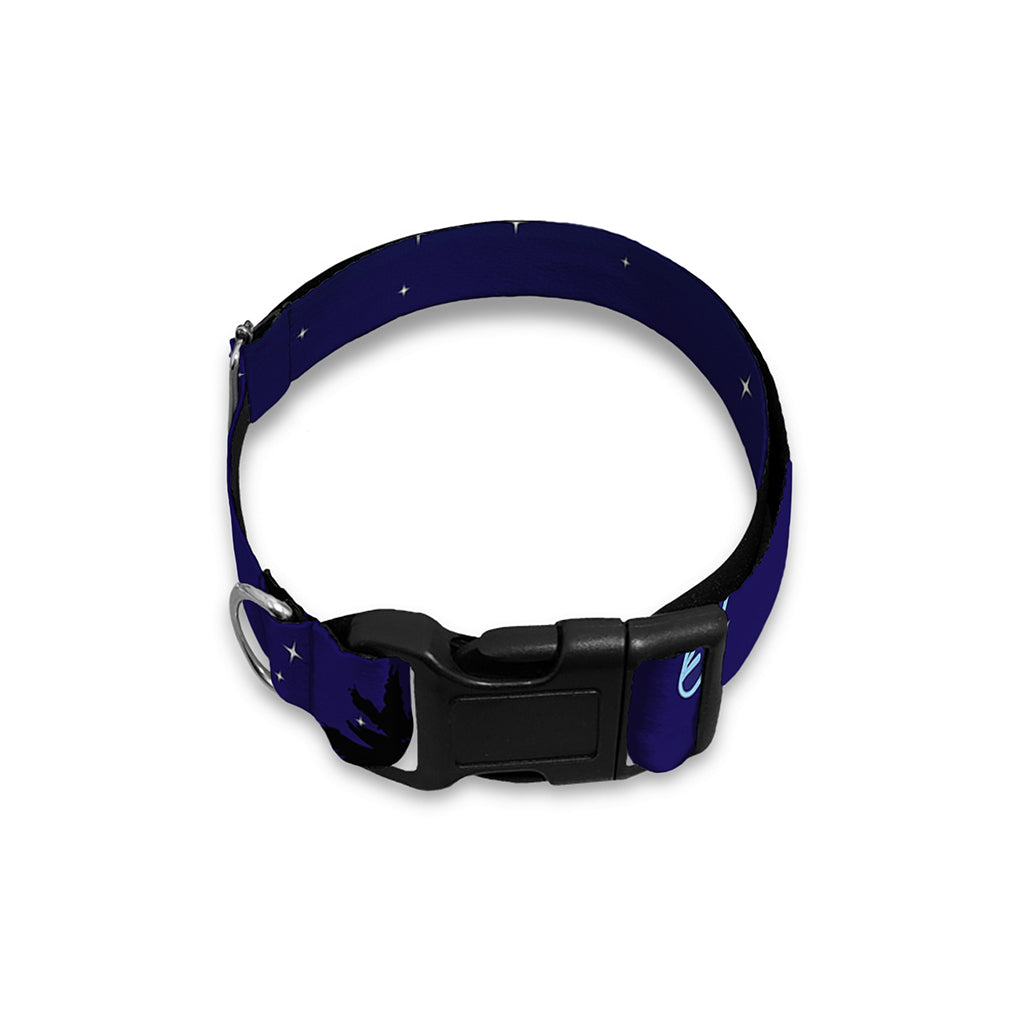 Sagittarius Constellation Print Dog Collar