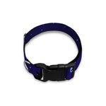 Sagittarius Constellation Print Dog Collar